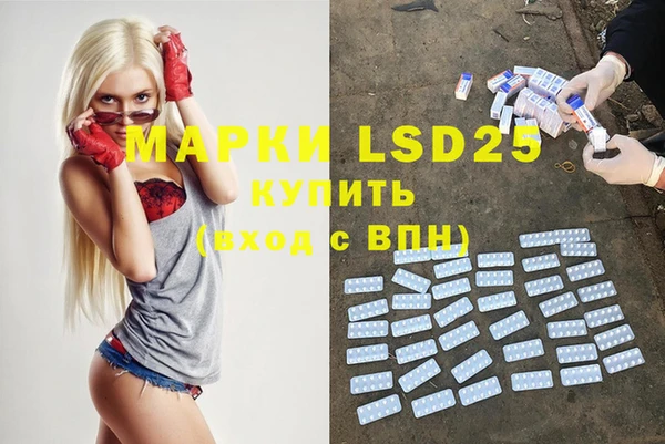a pvp Аркадак
