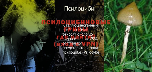 a pvp Аркадак