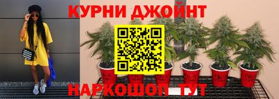 гидропоника Балашиха