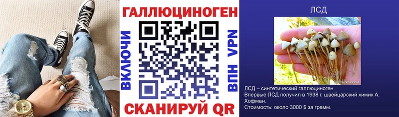 hydra сайт  Белгород  Псилоцибиновые грибы Cubensis  дарнет шоп 