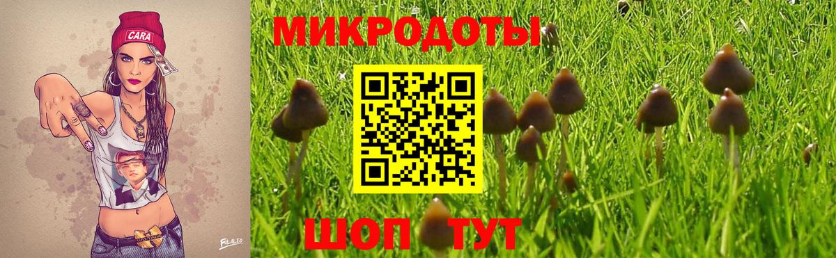Галлюциногенные грибы Psilocybine cubensis  где купить наркоту  Белгород  Вход с VPN 